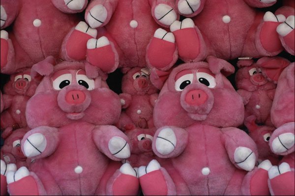 754054 Stuffed Animals At Amusement Park A4 Photo Print