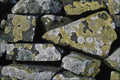 754058 Lichens On Wall A4 Photo Print