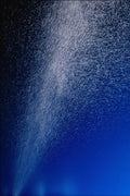 754062 Spray A4 Photo Print