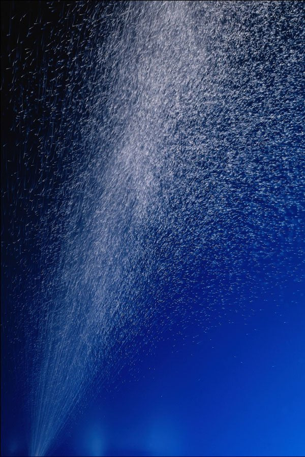 754062 Spray A4 Photo Print