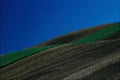 754073 Field Patterns A4 Photo Print