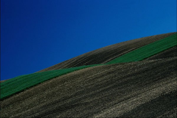 754073 Field Patterns A4 Photo Print