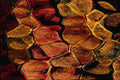 754077 Light Pattern A4 Photo Print