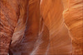 754094 Paria Canyon, Utah, U.S.A. A4 Photo Print