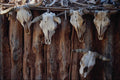 754095 At A Navajo Homesite, Monument Valley, Utah, U.S.A. A4 Photo Print