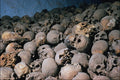 754096 Skulls In Mount Sinai, Middle East A4 Photo Print
