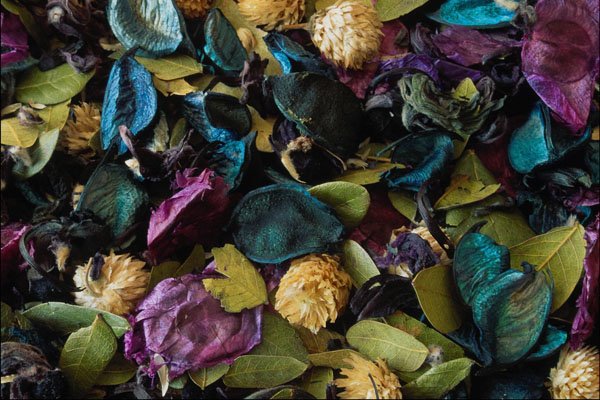 754099 Potpourri A4 Photo Print