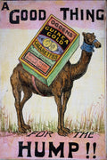 755038 Ogdens Cigarette Advertisement, Circa 1905 A4 Photo Print
