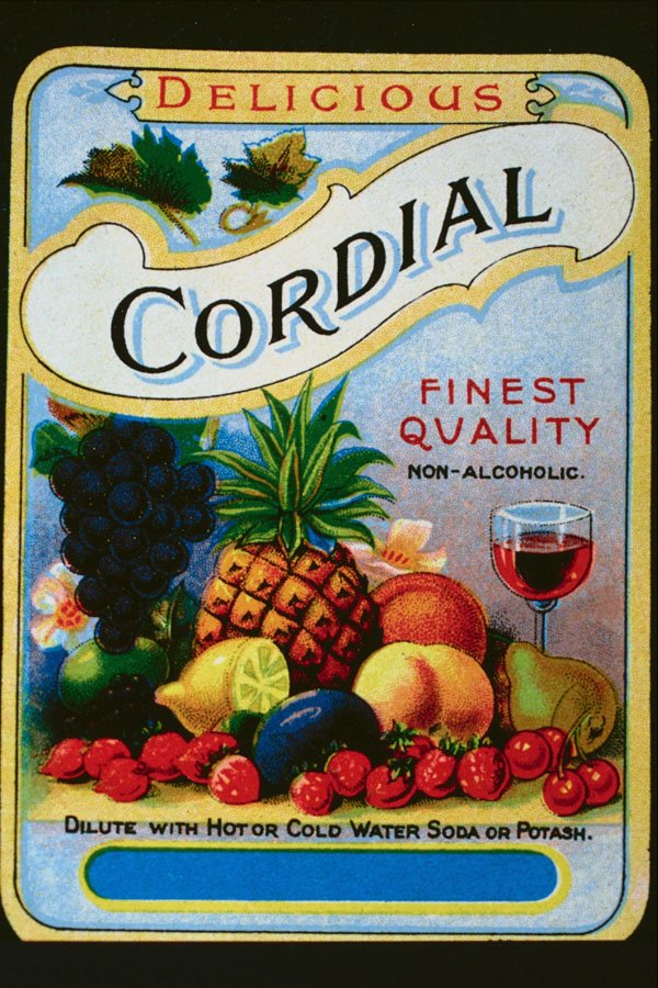 755047 Fruit Cordial A4 Photo Print