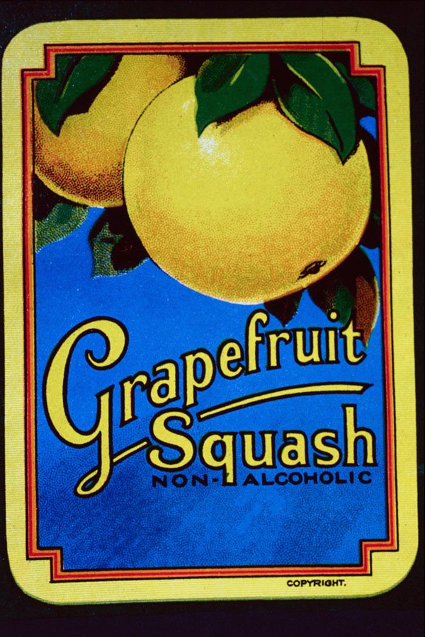 755049 Grapefruit Squash A4 Photo Print