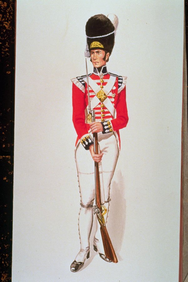 755053 Guardsman, Grenadier Company, Coldstream Regiment Of Guards, Circa 1815 A4 Photo Print