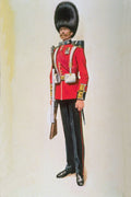 755081 Senior Non commissioned Officer, Grenadier Guards, Circa 1910 A4 Photo Print