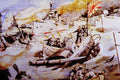 756019 Sailors A4 Photo Print