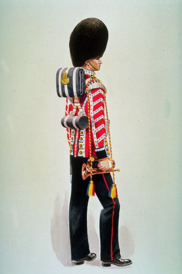756077 Bandsman, Grenadier Guards, Circa 1910 A4 Photo Print