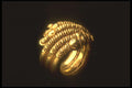 757003 Viking Gold Ring A4 Photo Print