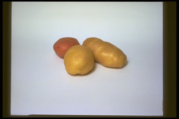 757010 Potatoes On White Background A4 Photo Print