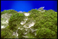 757013 Broccoli With Ice On Top A4 Photo Print