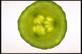 757014 Cucumber A4 Photo Print