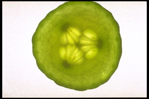 757014 Cucumber A4 Photo Print
