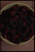 757028 Blackberries A4 Photo Print