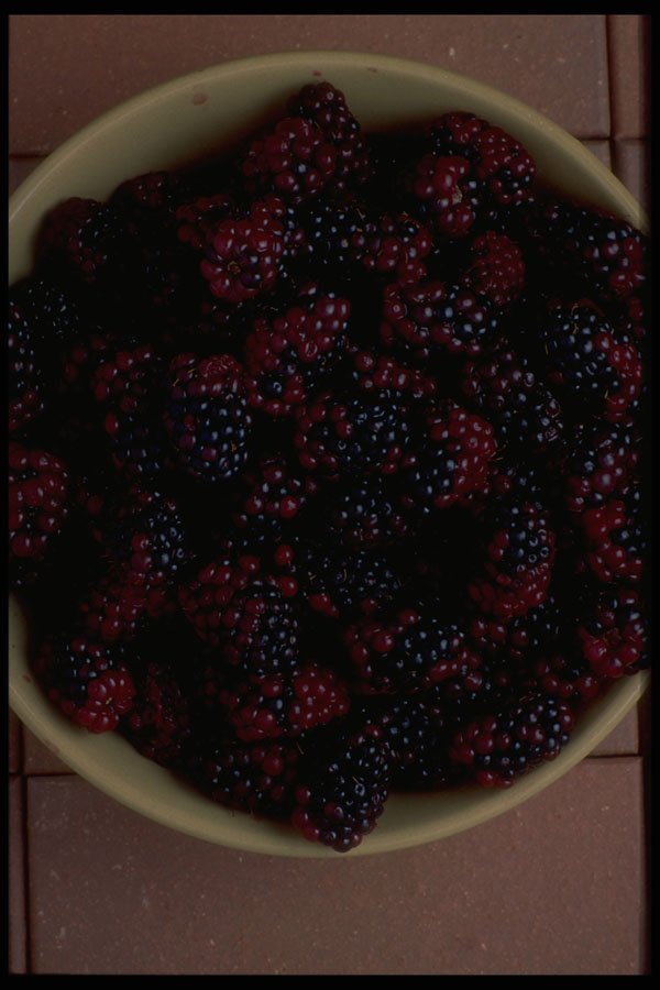 757028 Blackberries A4 Photo Print