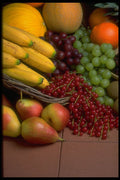 757029 Mixed Fruit A4 Photo Print