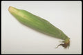 757031 Corn Cob A4 Photo Print