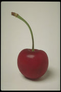757034 Cherry A4 Photo Print