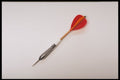 757066 Dart A4 Photo Print