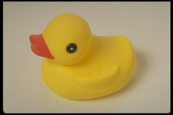 757095 Rubber Ducky A4 Photo Print