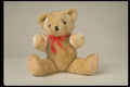 757097 Teddy Bear A4 Photo Print