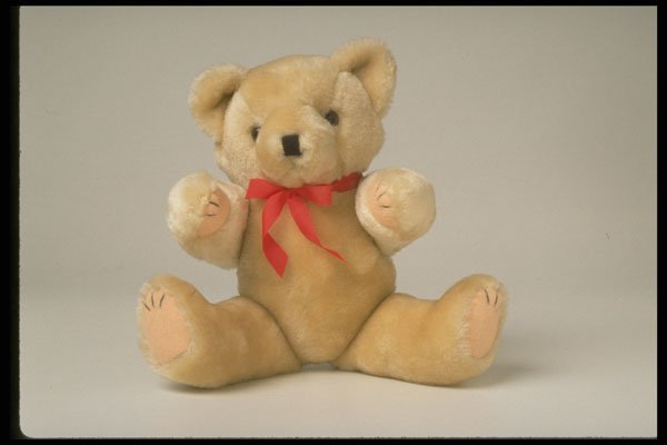 757097 Teddy Bear A4 Photo Print