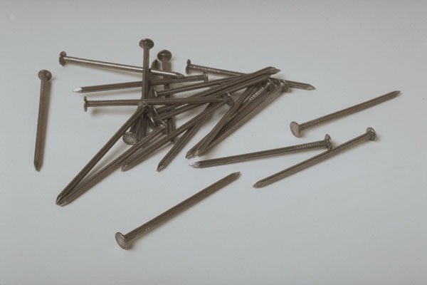 758002 Nails A4 Photo Print