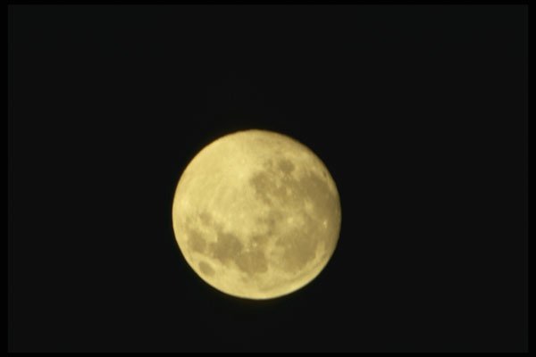 758005 Hunter's Moon A4 Photo Print