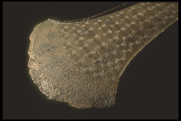 758018 Bronze Age Axe, 3500 B.C. A4 Photo Print