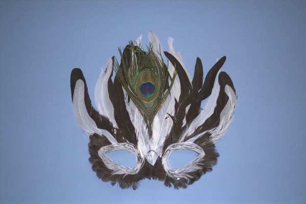 758026 Feather Mask A4 Photo Print