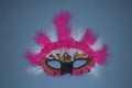 758027 Pink And White Feather Mask A4 Photo Print
