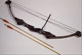 758056 Competition Bow A4 Photo Print
