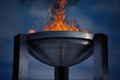 758066 The Flame A4 Photo Print