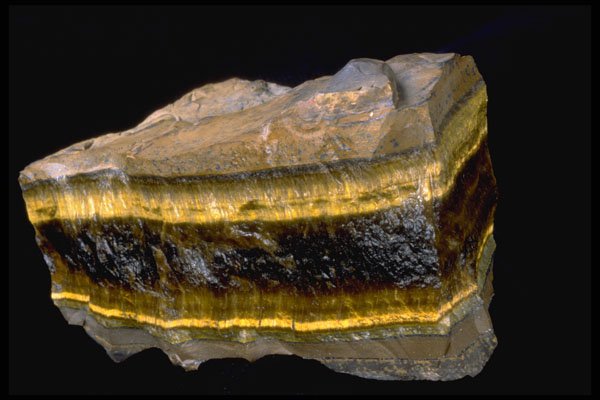 758073 Tiger's Eye A4 Photo Print
