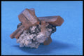 758081 Topaz A4 Photo Print