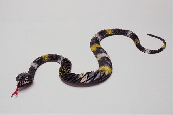 758093 Slimy Snake A4 Photo Print