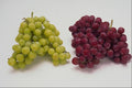 760087 Grapes A4 Photo Print