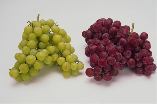760087 Grapes A4 Photo Print