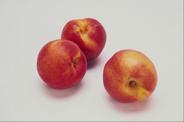 760088 Nectarines A4 Photo Print