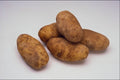 760089 Potatoes A4 Photo Print