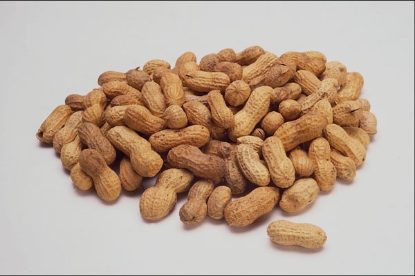 760090 Peanuts A4 Photo Print