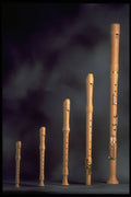 760097 Maple Wood Recorders, Wind Instruments A4 Photo Print