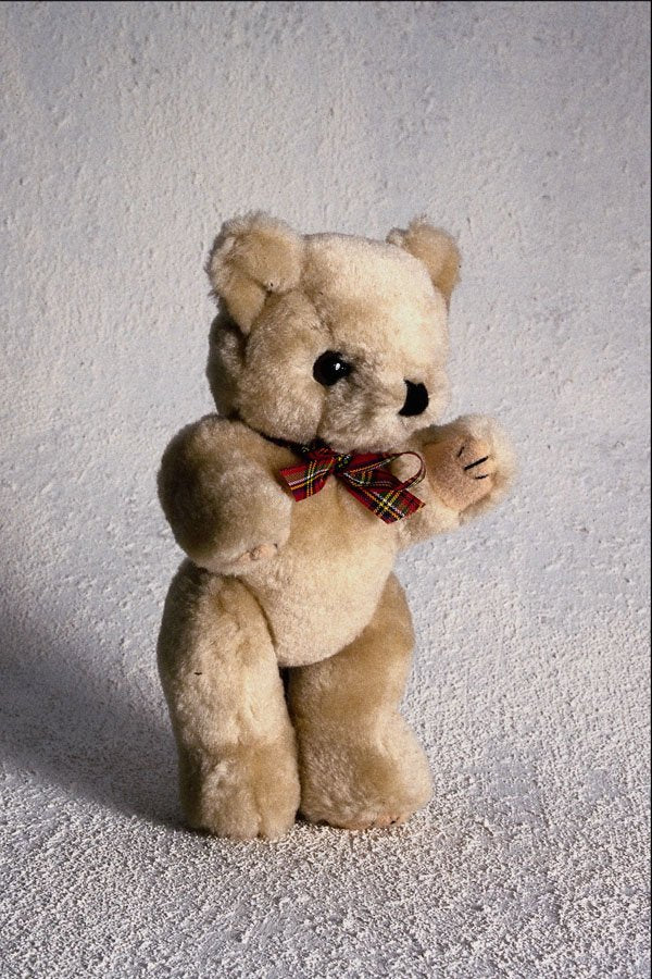 761003 Teddy Bear A4 Photo Print