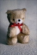 761006 Teddy Bear A4 Photo Print